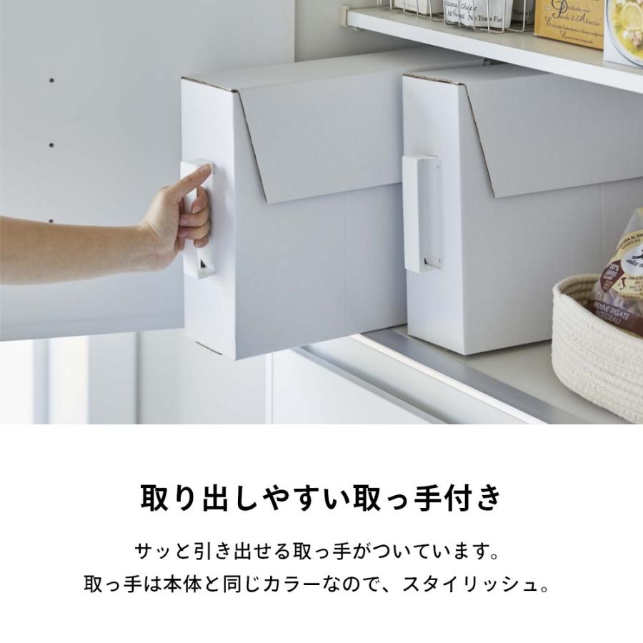 ヒスコレ　２箱 楽天市場】【レビュー特典】 山崎実業 【 目隠し分別ダスト