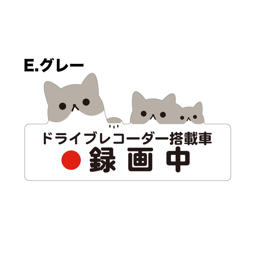 ドライブレコーダー搭載ステッカー ネコデザイン横長 録画中 8.8cm