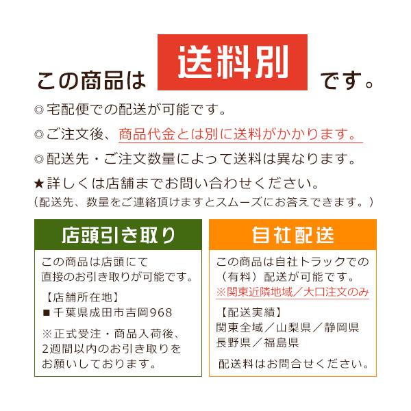 スーパー桧無垢羽目板 節あり クリアー塗装 2900×12×87ミリ : も スーパー桧無垢羽目板 節あり クリアー塗装 2900×12×87ミリ : も