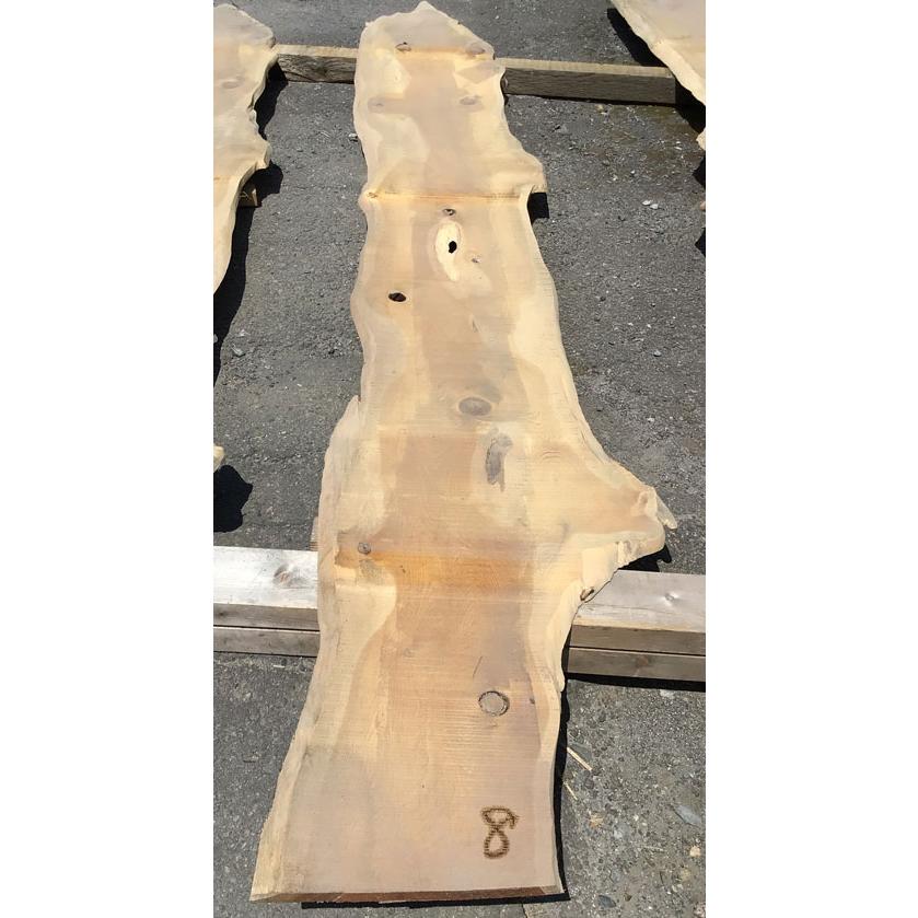 高野槇（コウヤマキ）無垢天板 天然乾燥材 3200×20×400ミリ NO.8【全国