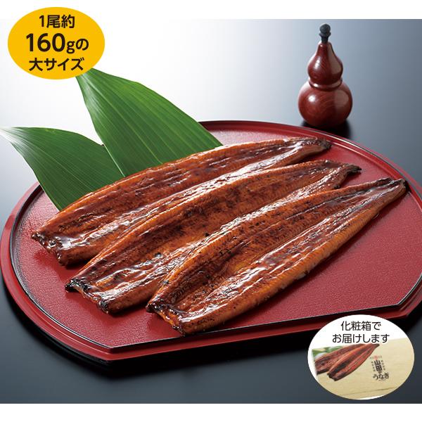 素敵でユニークな お中元 御中元 22 鹿児島県産霧島湧水うなぎと高級鰻肝佃煮のセット 化粧箱入 ギフト 送料無料 鰻 うなぎ 国産 Cisama Sc Gov Br