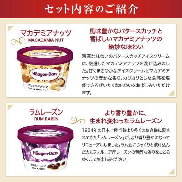 ハーゲンダッツ（Haagen-Dazs） ギフト アイスクリーム 堪能セット
