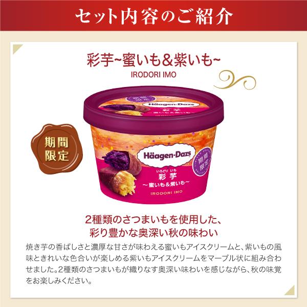ハーゲンダッツ ギフト アイスクリーム 洋菓子 ウィンターギフト ハーゲンダッツ ギフト アイスクリーム 洋菓子 ウィンターギフト
