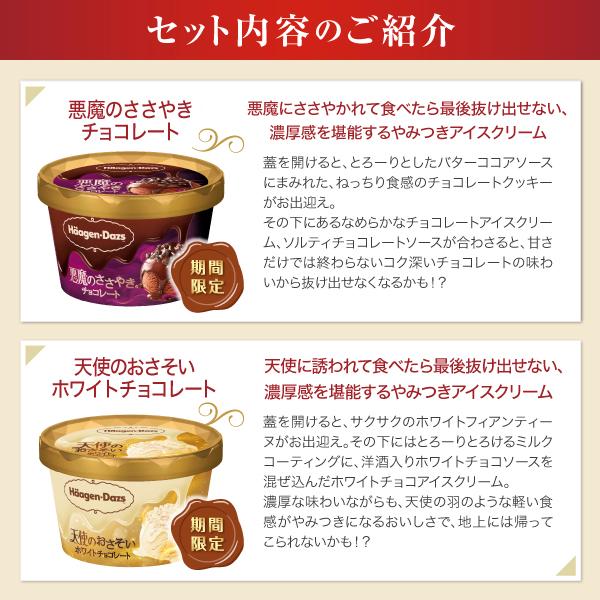 ハーゲンダッツ（Haagen-Dazs） ギフト アイスクリーム 限定セット