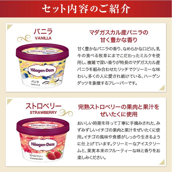 ハーゲンダッツ お中元 2025 ギフト 中元 アイスクリーム ミニ