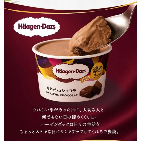 ハーゲンダッツ（Haagen-Dazs） お中元 2026 アイスクリーム 食べ比べ