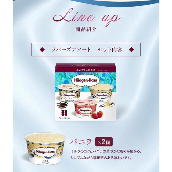 ハーゲンダッツ（Haagen-Dazs） お中元 2026 アイスクリーム 食べ比べ