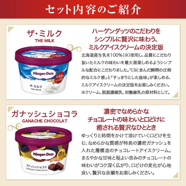 ハーゲンダッツ（Haagen-Dazs） お中元 2026 アイスクリーム 食べ比べ