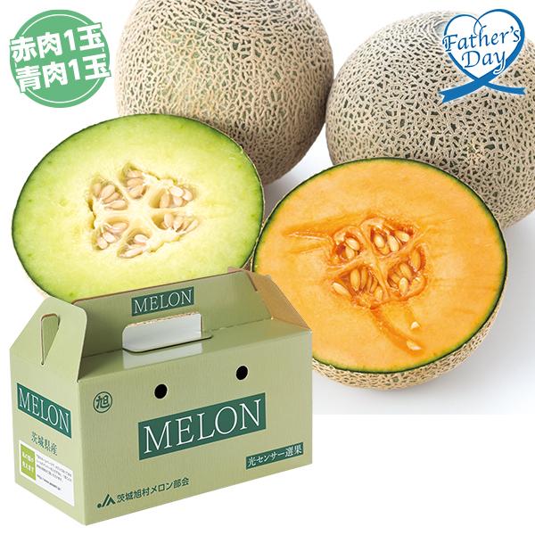 父の日 プレゼント 21 鉢 ルリマツリ ギフト 送料無料 花鉢 鉢植え メッセージカード 40