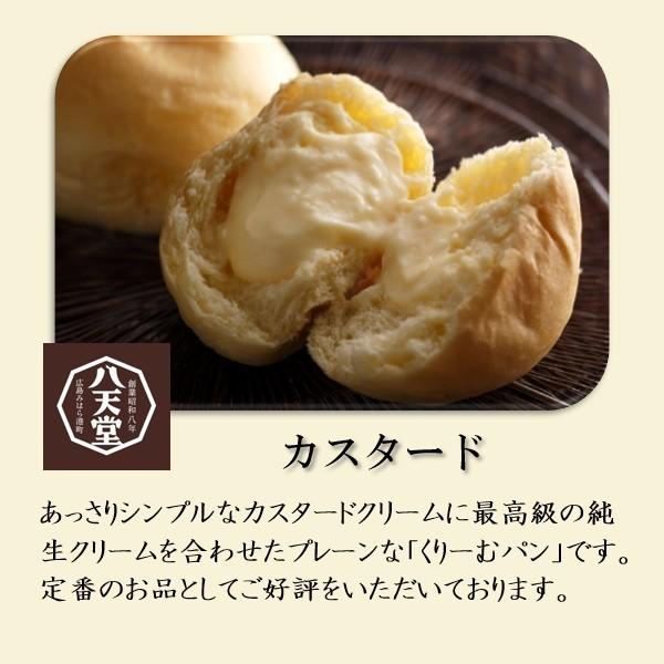 スイーツ ギフト 詰め合わせ お取り寄せスイーツ 送料無料 八天堂 プレミアムフローズンくりーむパン詰合せ 10個セット お取り寄せ グルメ いなげやpaypayモール店 通販 Paypayモール