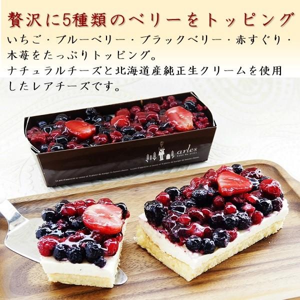 スイーツ ギフト 詰め合わせ 送料無料 ベイクド アルル アルルの贅沢ギフト2本セット お取り寄せ 産地直送 北海道 いなげやpaypayモール店 通販 Paypayモール