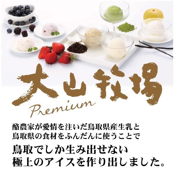 アイスクリーム ギフト 詰め合わせ お取り寄せスイーツ 送料無料 大山乳業 大山みるく畑 グルメ お取り寄せ プレゼント 産直 鳥取 白バラ牛乳 いなげやpaypayモール店 通販 Paypayモール