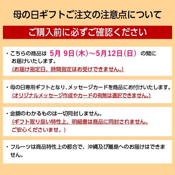 母の日 2024 プレゼント ギフト フルーツ 70代 60代 福岡県産 JA福岡八女 八女のビワ メッセージカード 高級 人気｜inageya-net｜03