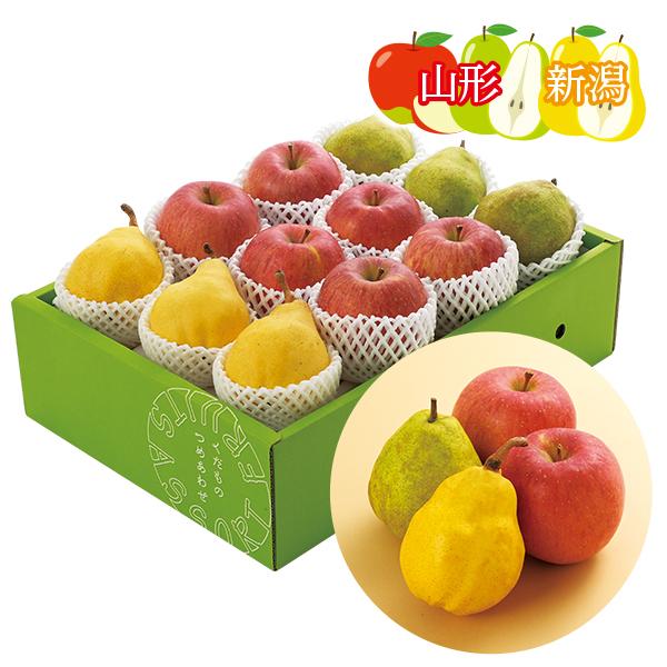 お中元 御中元 山梨県産 シャインマスカットamp 種なし巨峰 ギフト お取り寄せ 送料無料