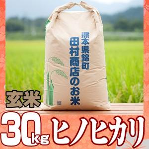 7年産　熊本県産ヒノヒカリ玄米30ｋｇ（調整済み）