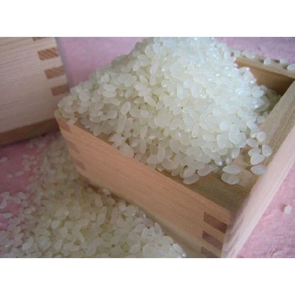 ヒノヒカリ 6年産 熊本県産ヒノヒカリ玄米30kg(調整済み ヒノヒカリ 6年産 熊本県産ヒノヒカリ玄米30kg(調整済み
