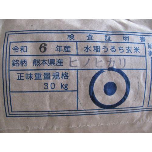 ヒノヒカリ 6年産 熊本県産ヒノヒカリ玄米30kg(調整済み ヒノヒカリ 6年産 熊本県産ヒノヒカリ玄米30kg(調整済み