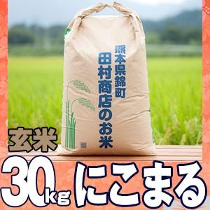 7年産　熊本県産米にこまる玄米30kg（調整済み）
