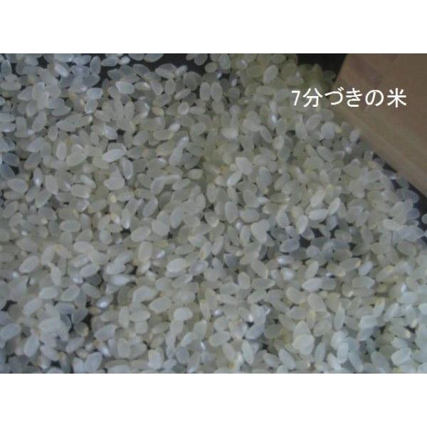 7年産 熊本県産米にこまる玄米30kg（調整済み） : 田舎米～田村商店