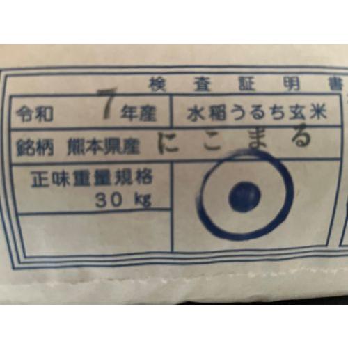 7年産 熊本県産米にこまる玄米30kg（調整済み） : 田舎米～田村商店