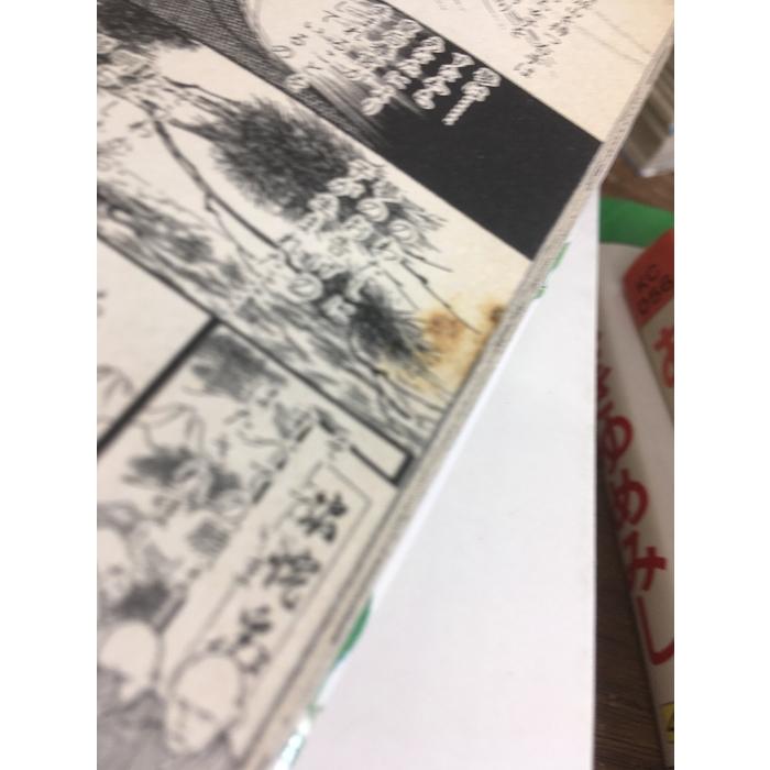 全巻セット【あさきゆめみし 全13巻】◇13冊揃い 完結 大和和紀 講談社