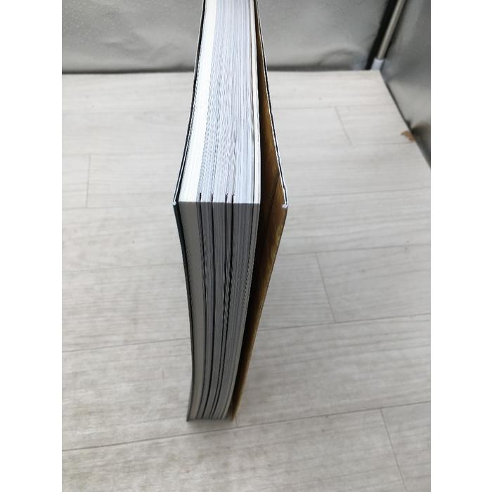 桃山時代の狩野派 特別展覧会 永徳の後継者たち 2015 : inami books - 通販 - Yahoo!ショッピング