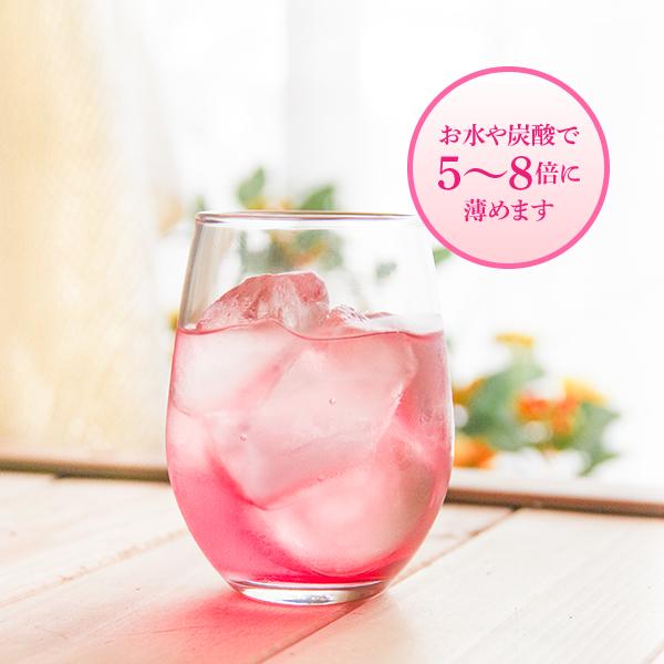 健康酢・健康飲料　ビワミン　1.8L　2本セット　【期間限定】今ならミニボトル4本のおまけ付き！_4