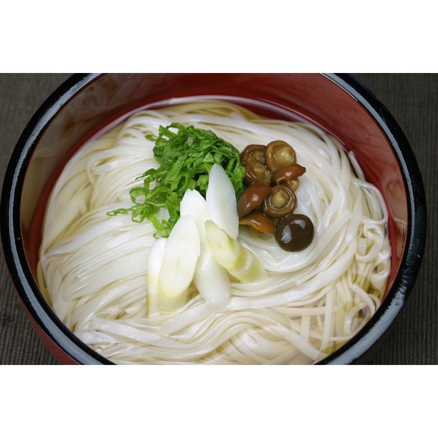 87 以上節約 送料無料 稲庭うどん 袋入り 450g 5人前 めんつゆ付きセット メール便発送 日時指定不可商品 Materialworldblog Com