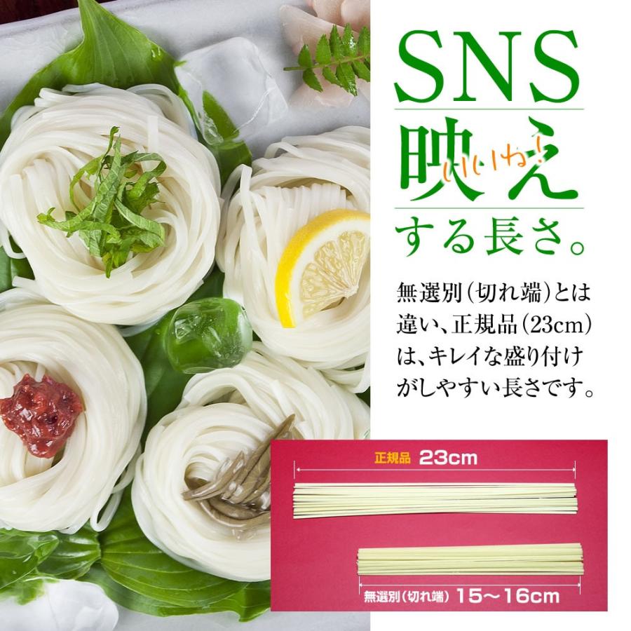 87 以上節約 送料無料 稲庭うどん 袋入り 450g 5人前 めんつゆ付きセット メール便発送 日時指定不可商品 Materialworldblog Com