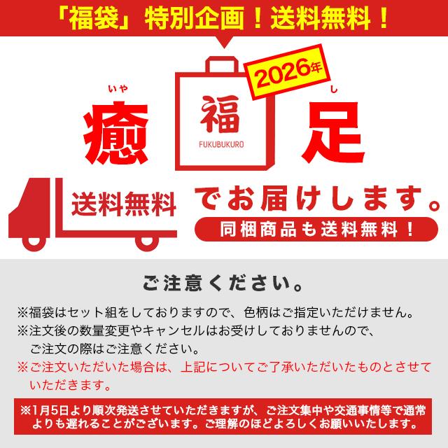 癒足 福袋 2026 靴下 メンズ 和柄 足袋 五本指 スニーカーソックス 10