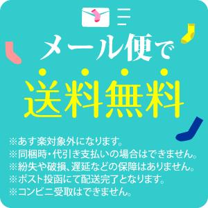靴下 メンズ ソックス 大きいサイズ 4足セット 色はおまかせ 5バリエーション カジュアル/スニーカー 総メッシュ デオライン|inasaka|02