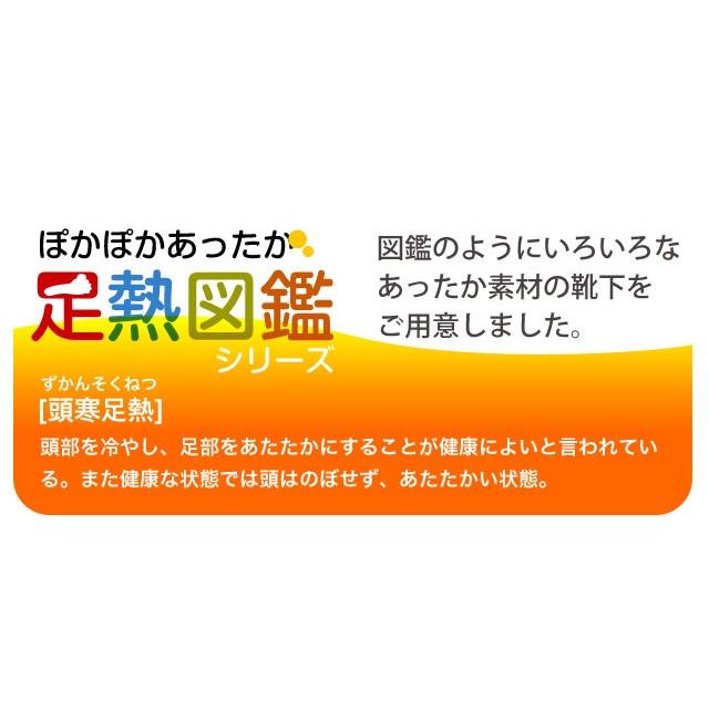 日本製 遠赤 レッグウォーマー 2足セット エコの為パッケージ無し 敬老の日 ルームソックス 冷え取り 足暖め 寒さ対策 贈り物 プレゼント | 足熱図鑑 | 05