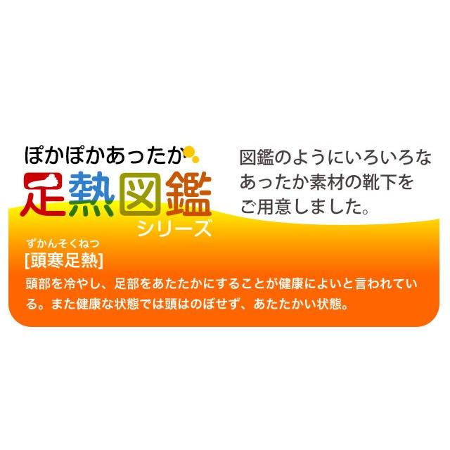 日本製 遠赤 レッグウォーマー 2足セット（エコの為パッケージ無し）敬老の日 ルームソックス 冷え取り 足暖め 寒さ対策 贈り物 プレゼント｜inasaka｜06