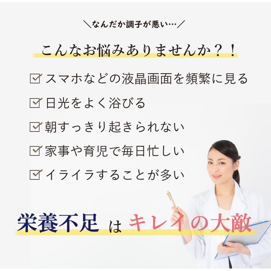 ビタミン ミネラル 栄養機能食品 30種の栄養素 健康 サプリメント 人気 おすすめ 元気 ポリフェノール ルテイン 国産 スーパーナイスパック 30パック入｜inatura｜06