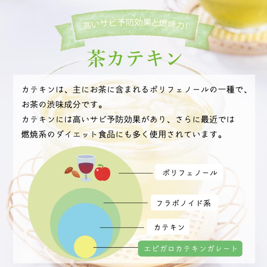カテキン 緑茶 ポリフェノール カフェインフリー 茶カテキン エピガロ