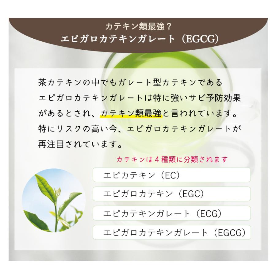 カテキン 緑茶 ポリフェノール カフェインフリー 茶カテキン エピガロ