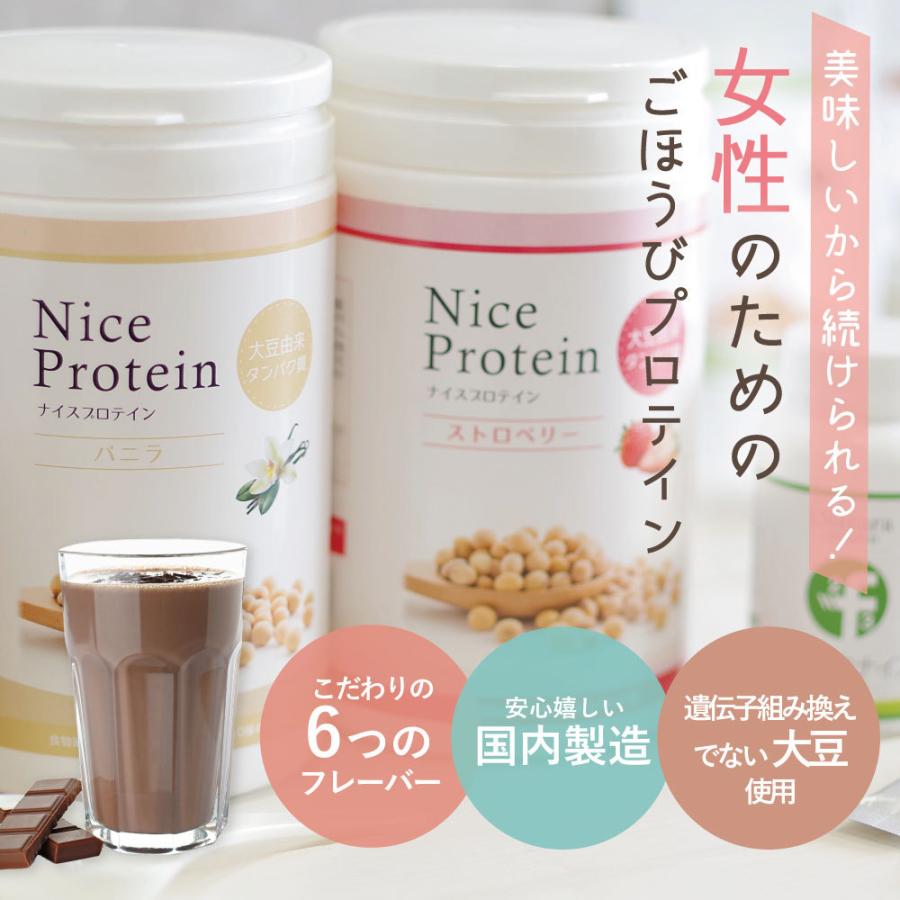ナイスプロテイン 抹茶 (500g入り) 大豆 ソイ ダイエット 女性 人気 美味しい シェイク 置き換え 植物性タンパク質 国産 美容 20代 30代 40代 50代|inatura|03
