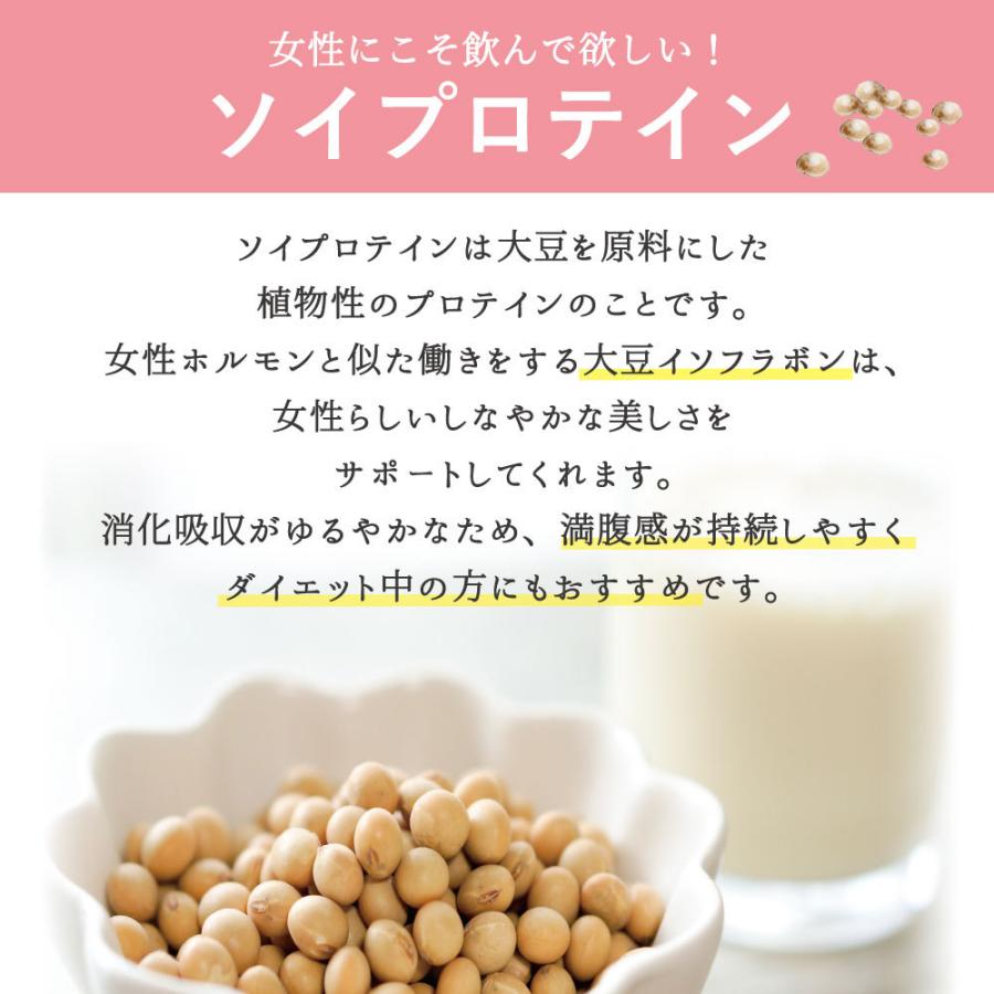 信頼 ナイスプロテイン チョコレート 500g入り 大豆 ソイ ダイエット 女性 人気 美味しい シェイク 置き換え 植物性タンパク質 国産 美容 代 30代 40代 50代 Whitesforracialequity Org