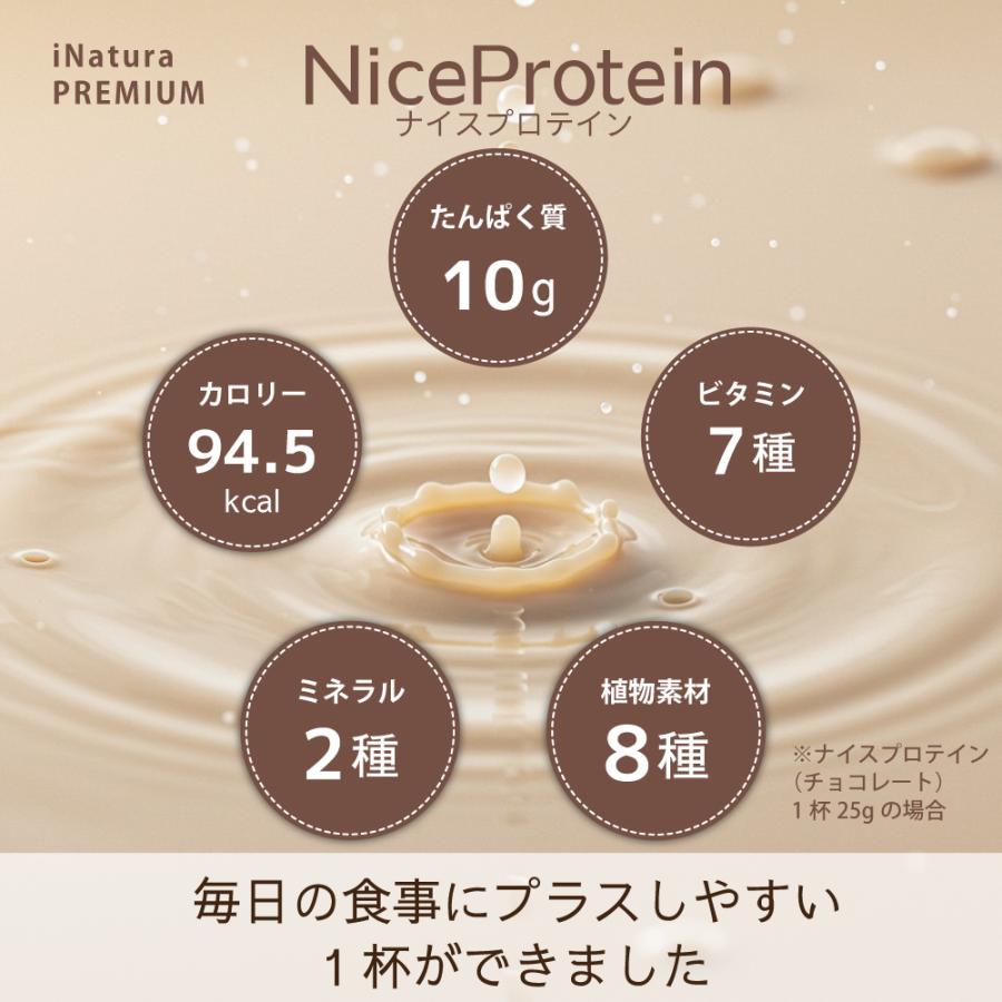 iNatura（アイナチュラ） プロテイン ストロベリー味 ソイプロテイン