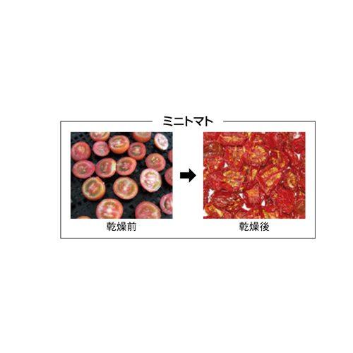食品乾燥機 ドラッピー DSJ-mini 幅380×奥行325×高さ484(mm)/業務用/新品/送料無料の画像
