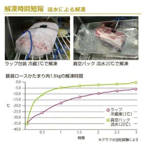 業務用/新品/TOSEI/真空包装機 トスパック 卓上型 標準タイプ クリアドームシリーズ V-30A  幅413×奥行587×高さ670/送料無料｜inbis｜08