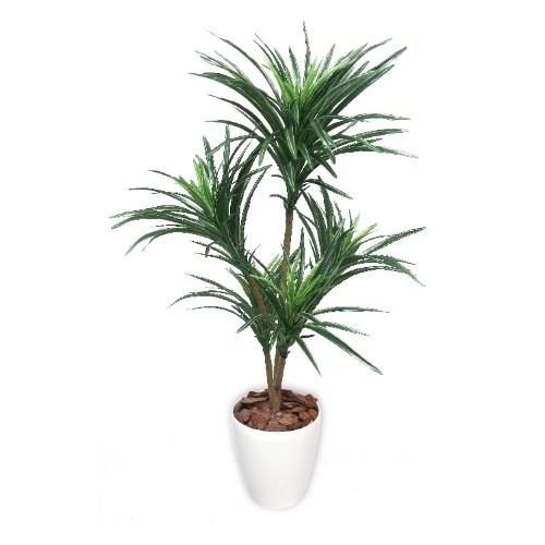 全品送料無料 人工観葉植物 ユッカ Mサイズ プロ用 新品 送料無料 業務用厨房 機器用品inbis 通販 Paypayモール 新規購入 Base6 Co