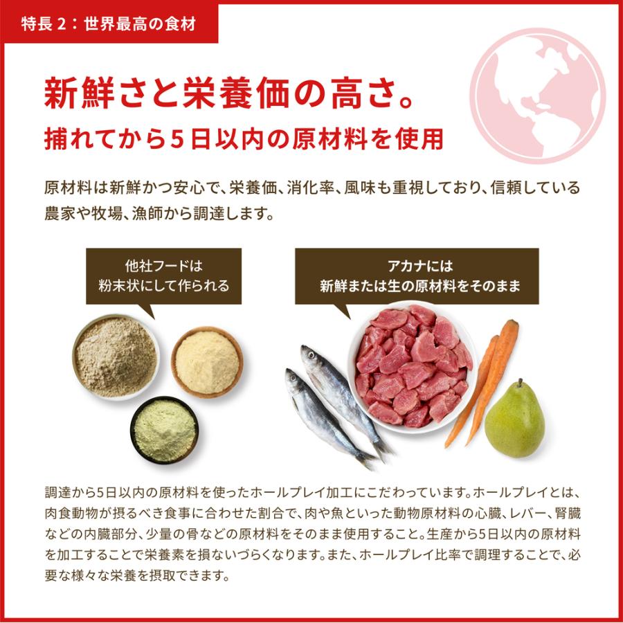 ドッグフード シニア犬 アカナ シニア ドッグレシピ 2kg｜inc-japan｜08