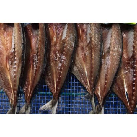 あじの干物 | 