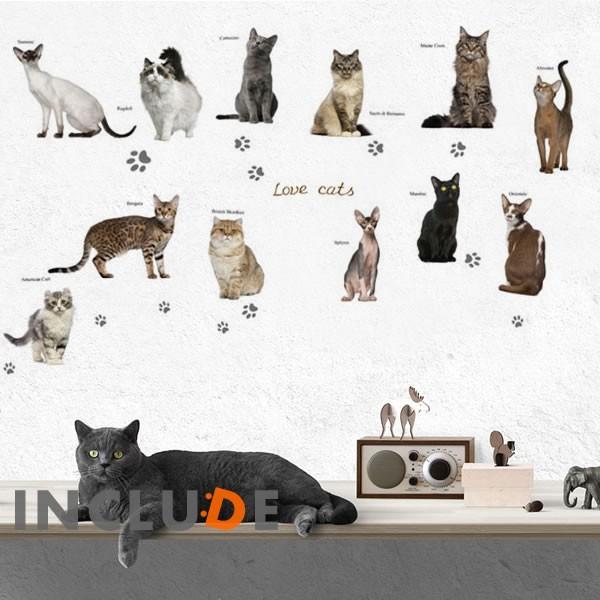 ウォールステッカー ねこ 猫 にゃん リアル 写真 ブランド猫 血統 一流 キャット 子猫 かわいい 肉球 にくきゅう キュート | 
