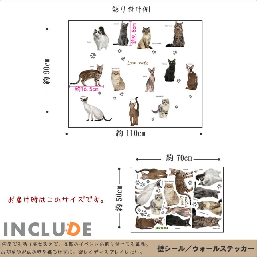 ウォールステッカー ねこ 猫 にゃん リアル 写真 ブランド猫 血統 一流 キャット 子猫 かわいい 肉球 にくきゅう キュート |  | 02