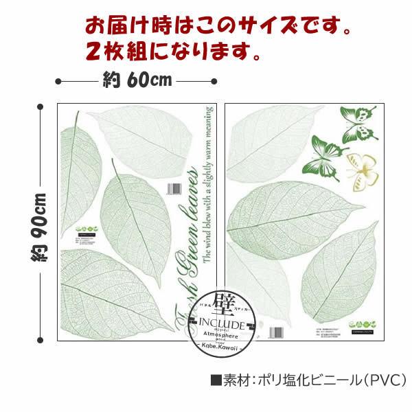 壁ステッカー ウォールステッカー ２枚セット 透けたように美しい葉脈 レース スケルトンリーフ リーフ すかし模様 グリーン 葉脈 維管束 |  | 03