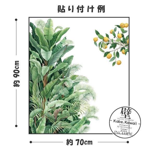 壁ステッカー ウォールステッカー ストレリチア ストレチア サンスベリア サンセベリア アレカヤシ バナナリーフ レモン 柑橘系 チルい |  | 02