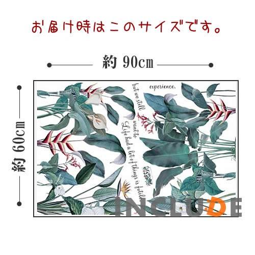 ウォールステッカー 観葉植物 美しい世界 ボタニカル リーフ モンステラ 南国 エンセーテ バショウ グリーン カラーリーフ ト |  | 02