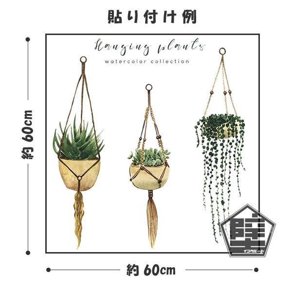 壁ステッカー ウォールステッカー ハンギング グリーン プランツ リーフ 吊り植物 多肉植物 アロエ サンスベリア セダム |  | 03
